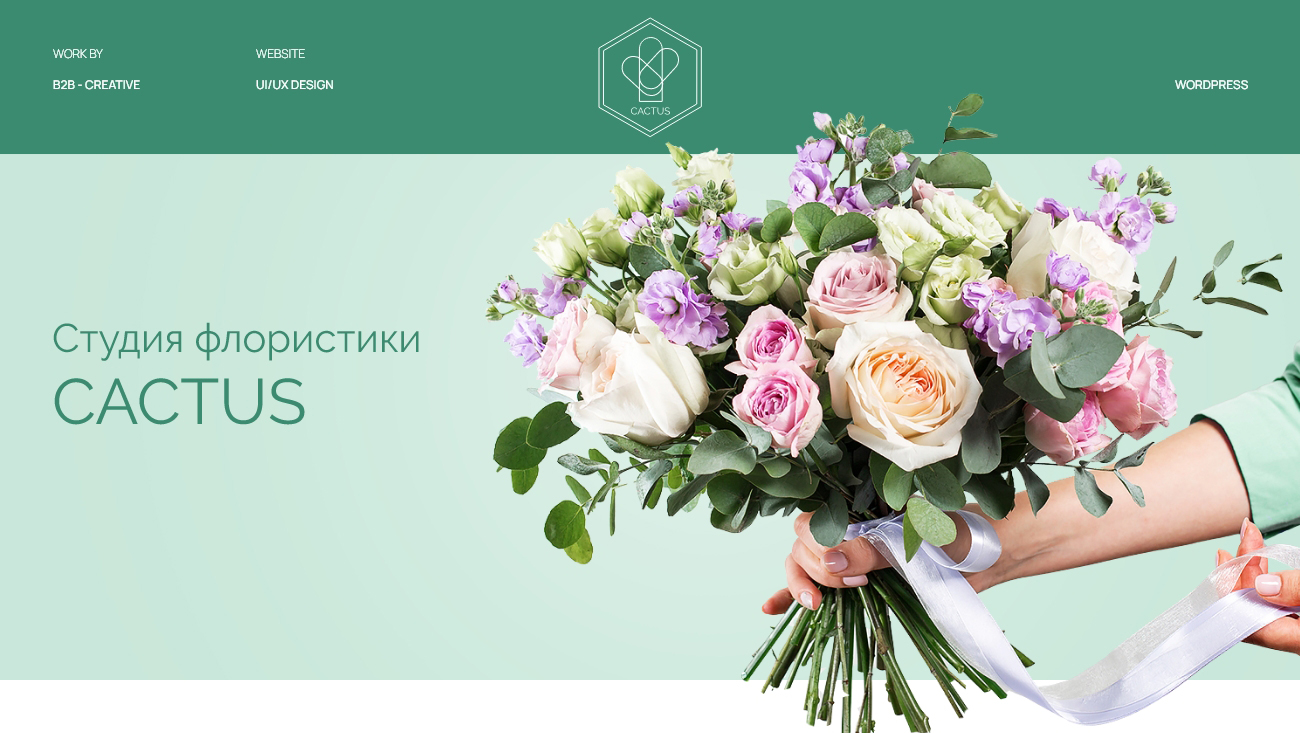 :   -    Cactus |  B2B-Creative